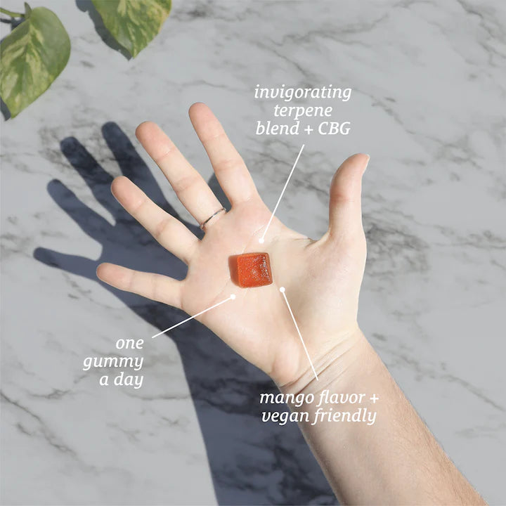 Broad Spectrum Rise Gummies